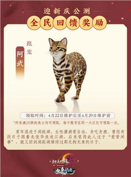 百区私服天龙八部